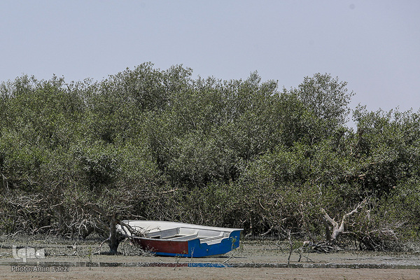 طبیعت صفر مرزی چابهار