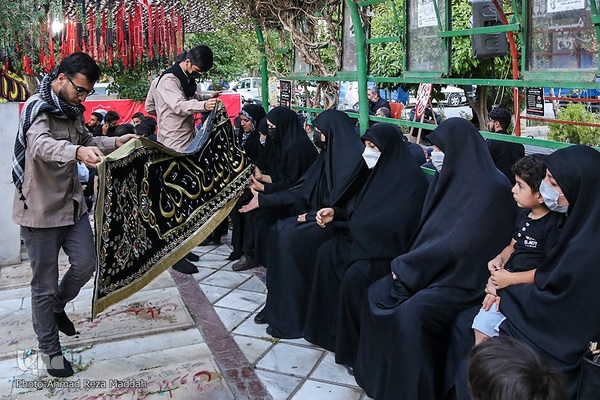 ویژه برنامه «سِرّ سَر» در گلزار شهدای شیراز‎‎