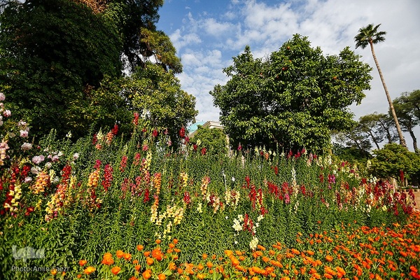 اول اردیبهشت روز سعدی شیرازی‎‎