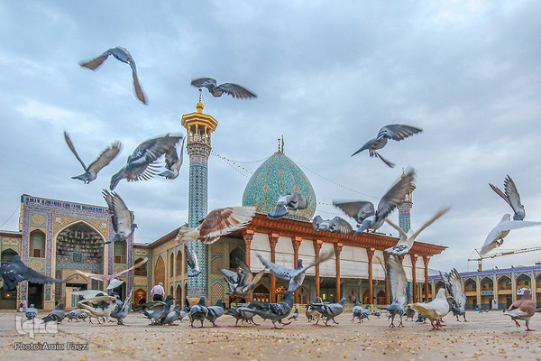 6 ذی القعده بزرگداشت میلاد حضرت احمدبن موسی شاهچراغ (ع)‎‎