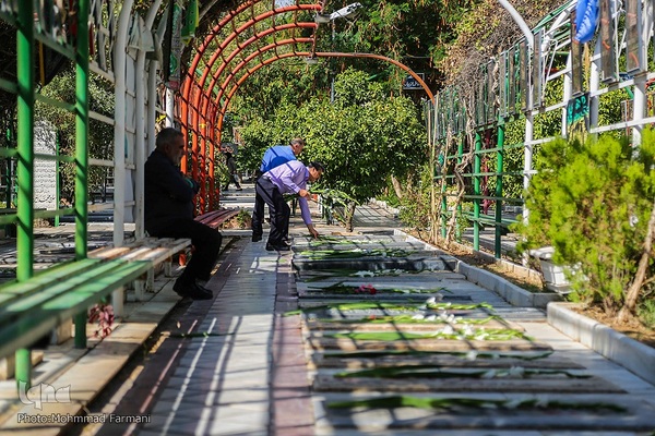 گلباران قبور شهدا به مناسبت آغاز هفته دولت