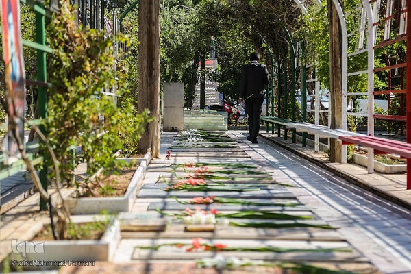 گلباران قبور شهدا به مناسبت آغاز هفته دولت