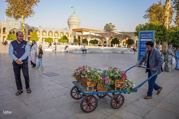 کاتبان خردسال قرآن‎