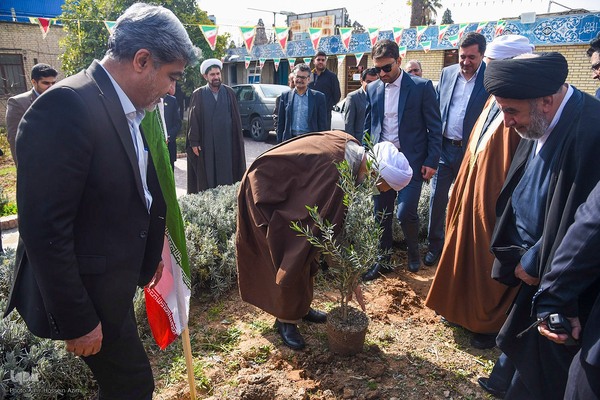 کاشت نهال زیتون توسط نماینده ولی فقیه در فارس