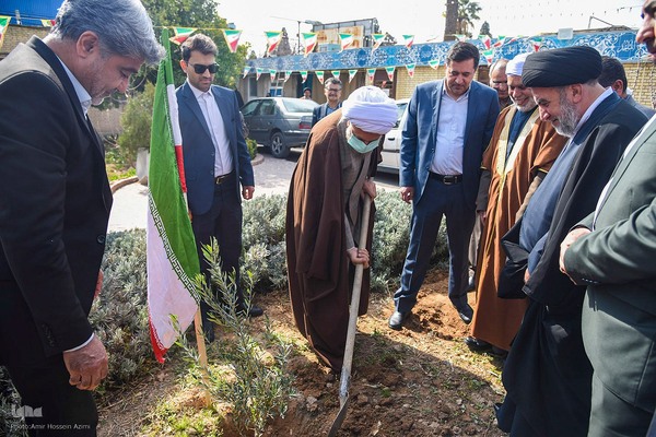 کاشت نهال زیتون توسط نماینده ولی فقیه در فارس