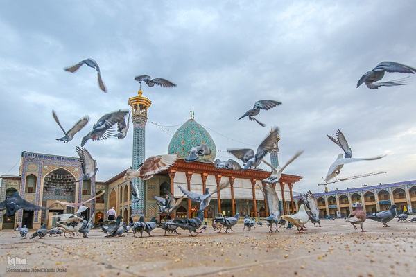 به مناسبت بزرگداشت میلاد حضرت احمدبن موسی شاهچراغ (ع)‎