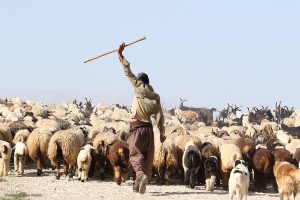 پانزدهم مهر؛ روز ملی روستا و عشایر