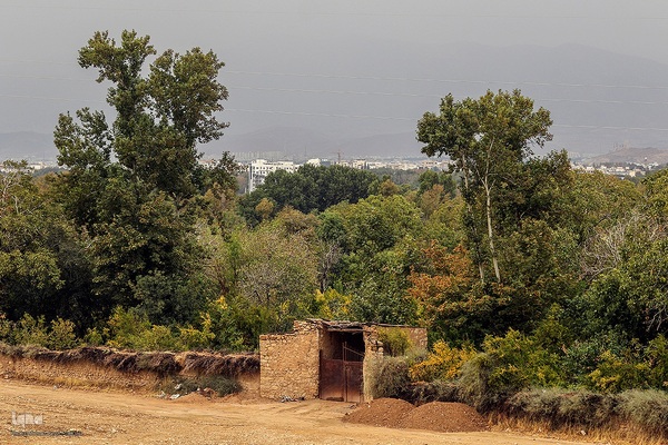 بارش باران پاییزی در شیراز