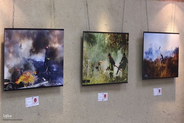 آیین گشایش نمایشگاه گروهی عکس «جلوه های نجات و حیات» در شیراز