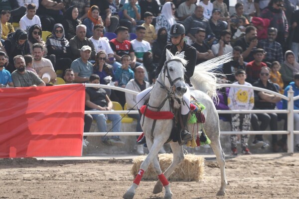 جشنواره زیبایی اسب اصیل ایرانی در استان فارس