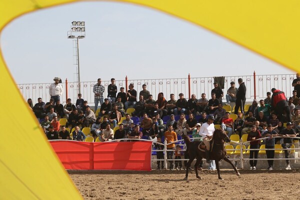 جشنواره زیبایی اسب اصیل ایرانی در استان فارس