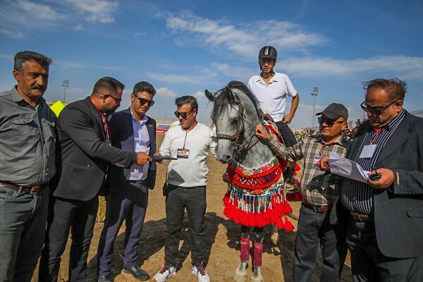 جشنواره زیبایی اسب اصیل ایرانی در استان فارس