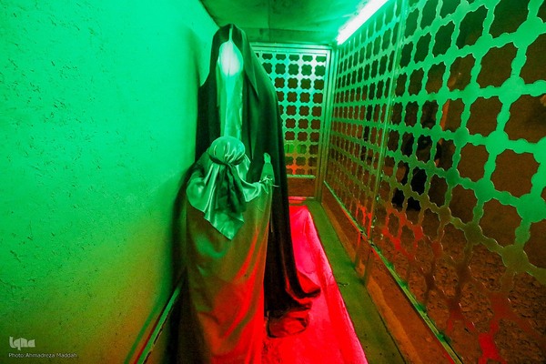 بیستمین یادمان یاس کبود در دیار فاطمیون