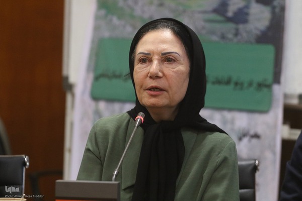 زهره بزرگ‌مهری، چهره ماندگار میراث فرهنگی و عضو هیئت راهبردی پایگاه میراث فرهنگی برخی شهرهای تاریخی ایران 