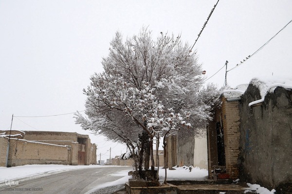 بارش برف در شهر تاریخی ایزدخواست فارس