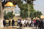 Orda di coloni estremisti invade il complesso di al-Aqsa