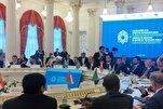 د انسان بنسټیزو مسئلو د حل لپاره د اسلامي هېوادونو خبرې اترې یوه ضروري اړتیا ده