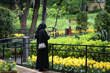Flores coloridas em fotos: turistas se deliciam com o jardim de tulipas de Teerã