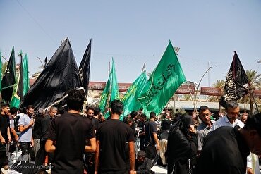 Estudioso Destaca Papel dos Peregrinos na Divulgação da Mensagem do Arbaeen