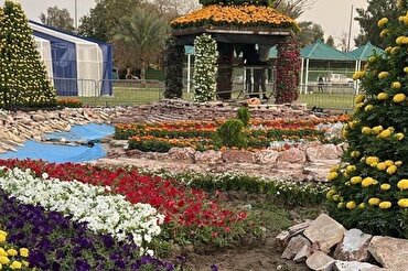Участие отдела цветов и растений храма имама Хусейна (мир ему) в Багдадском международном фестивале + видео