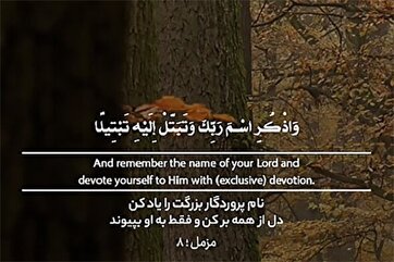 Освободи своё сердце от всего