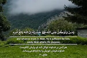 Ӯ барояш кофист