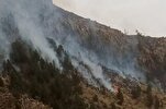 شیرانی جنگلات کی آگ پر مکمل قابو پالیا گیا/ ایران کا شکریہ