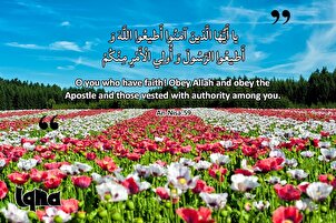 آیات برائے زندگی: خدا و رسول کی اطاعت
