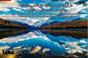 آیات زندگی: مکڑی کا جالا