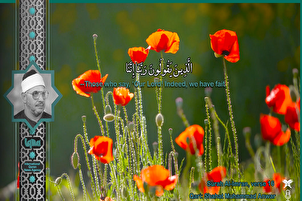 ویڈیو | قاری «شحات» کی یادگار تلاوت- سوره آل‌عمران