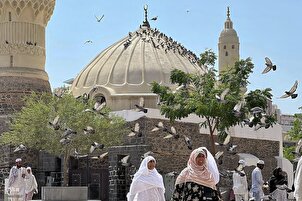 حجاج کرام کی، حج کے بعد مدینہ کے مقدس اور تاریخی مقامات کی زیارت+ تصویریں