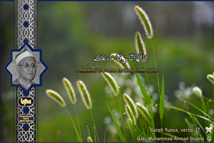 قاری «احمد شبیب» کی تلاوت- سوره یونس