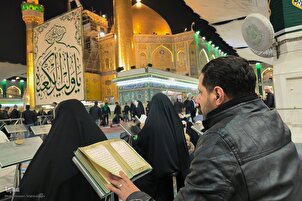 حرم امام علی(ع) کا منظر شب میلاد امام محمدتقی(ع) پر